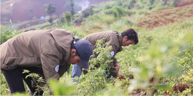 TOSAYA 2019: Bersama Berdedikasi Mengabdi dalam Satu Aksi